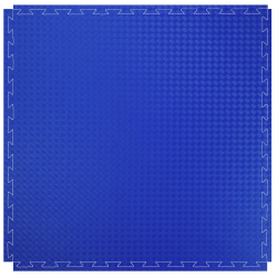 TRENDY SPORT Sportmatte Profi - 100x100x2 cm Blau/Rot