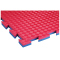 TRENDY SPORT Sportmatte Profi - 100x100x2 cm Blau/Rot