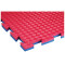TRENDY SPORT Sportmatte Standard - 100x100x2 cm