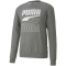 PUMA Rebel Crew TR Sweatshirt Herren medium gray heather S