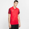 NIKE Trophy IV Trikot kurzarm