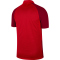 NIKE Trophy IV Trikot kurzarm