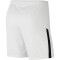 NIKE Dri-FIT Fußballshorts