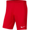 NIKE Park III Dri-FIT Knit Fußballshorts Herren