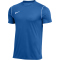NIKE Park 20 Dri-FIT Trikot Herren