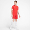NIKE Park VII Dri-FIT Trikot kurzarm university red/white S