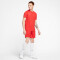 NIKE Park VII Dri-FIT Trikot kurzarm university red/white XL