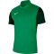 NIKE Trophy IV Trikot kurzarm pine green/gorge green/white XXL