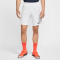 NIKE Park III Dri-FIT Knit Fu&szlig;ball Shorts Herren white/black S