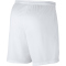 NIKE Park III Dri-FIT Knit Fu&szlig;ballshorts Herren white/black S