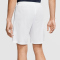 NIKE Park III Dri-FIT Knit Fu&szlig;ballshorts Herren white/black M