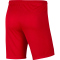 NIKE Park III Dri-FIT Knit Fu&szlig;ball Shorts Herren university red/white S