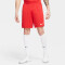 NIKE Park III Dri-FIT Knit Fußballshorts Herren university red/white S