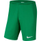 NIKE Park III Dri-FIT Knit Fu&szlig;ball Shorts Herren pine green/white S
