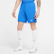 NIKE Park III Dri-FIT Knit Fu&szlig;ball Shorts Herren royal blue/white M