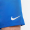 NIKE Park III Dri-FIT Knit Fu&szlig;ballshorts Herren royal blue/white L