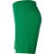 NIKE Park III Dri-FIT Knit Fußballshorts Kinder pine green/white S (128-137 cm)