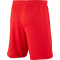 NIKE Park III Dri-FIT Knit Fu&szlig;ballshorts Kinder university red/white M (137-147 cm)
