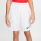 NIKE Park III Dri-FIT Knit Fu&szlig;ballshorts Kinder white/black L (147-158 cm)
