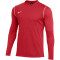 NIKE Park 20 Dri-FIT langarm Trainingsshirt Herren university red/white/white XL