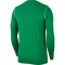 NIKE Park 20 Dri-FIT langarm Trainingsshirt Herren pine green/white/white XL