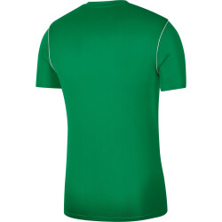 NIKE Park 20 Dri-FIT Trikot Kinder pine green/white/white...