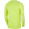 NIKE Park IV Dri-FIT Goalkeeper Torwarttrikot volt/white/black S
