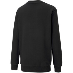 PUMA teamGOAL 23 Casuals Crew Neck Sweatshirt Kinder