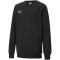 PUMA teamGOAL 23 Casuals Crew Neck Sweatshirt Kinder