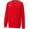 PUMA teamGOAL 23 Casuals Crew Neck Sweatshirt Kinder PUMA red 116