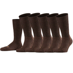 5er Pack FALKE Walkie Ergo Wandersocken dark brown 35-36