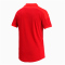PUMA teamFINAL 21 Sideline Poloshirt