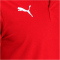PUMA teamFINAL 21 Sideline Poloshirt