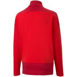 PUMA teamGOAL 23 Training 1/4-Zip Top Kinder