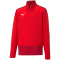PUMA teamGOAL 23 Training 1/4-Zip Top Kinder