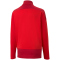 PUMA teamGOAL 23 Training 1/4-Zip Top Kinder