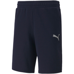 PUMA teamGOAL 23 Casuals Shorts