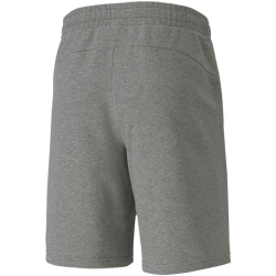 PUMA teamGOAL 23 Casuals Shorts
