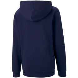 PUMA teamGOAL 23 Casuals Hoodie Kinder