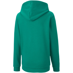 PUMA teamGOAL 23 Casuals Hoodie Kinder