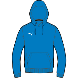 PUMA teamGOAL 23 Casuals Hoodie Kinder