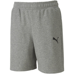 PUMA teamGOAL 23 Casuals Shorts Kinder