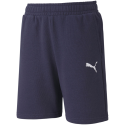 PUMA teamGOAL 23 Casuals Shorts Kinder