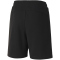 PUMA teamGOAL 23 Casuals Shorts Kinder