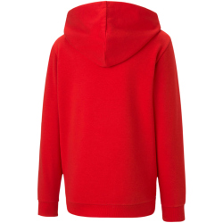 PUMA teamGOAL 23 Casuals Kapuzenjacke Kinder