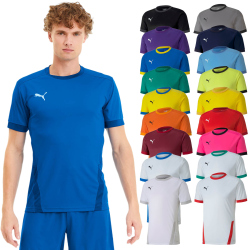 PUMA teamGOAL 23 Trainingsshirt