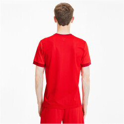 PUMA teamGOAL 23 Trainingsshirt