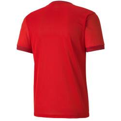 PUMA teamGOAL 23 Trainingsshirt