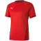 PUMA teamGOAL 23 Trainingsshirt