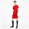 PUMA teamGOAL 23 Trainingsshirt